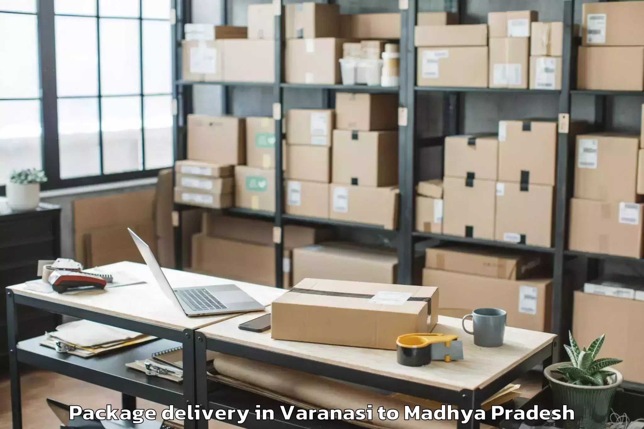 Varanasi to Ganj Basoda Package Delivery